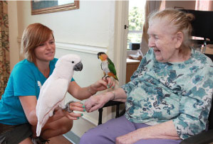 an elderly woman holds two parrots in her hand